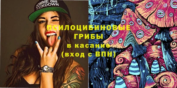 твердый Алзамай