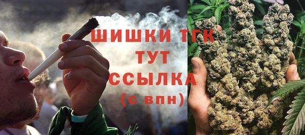 твердый Алзамай